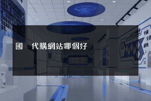 國內代購網站哪個好